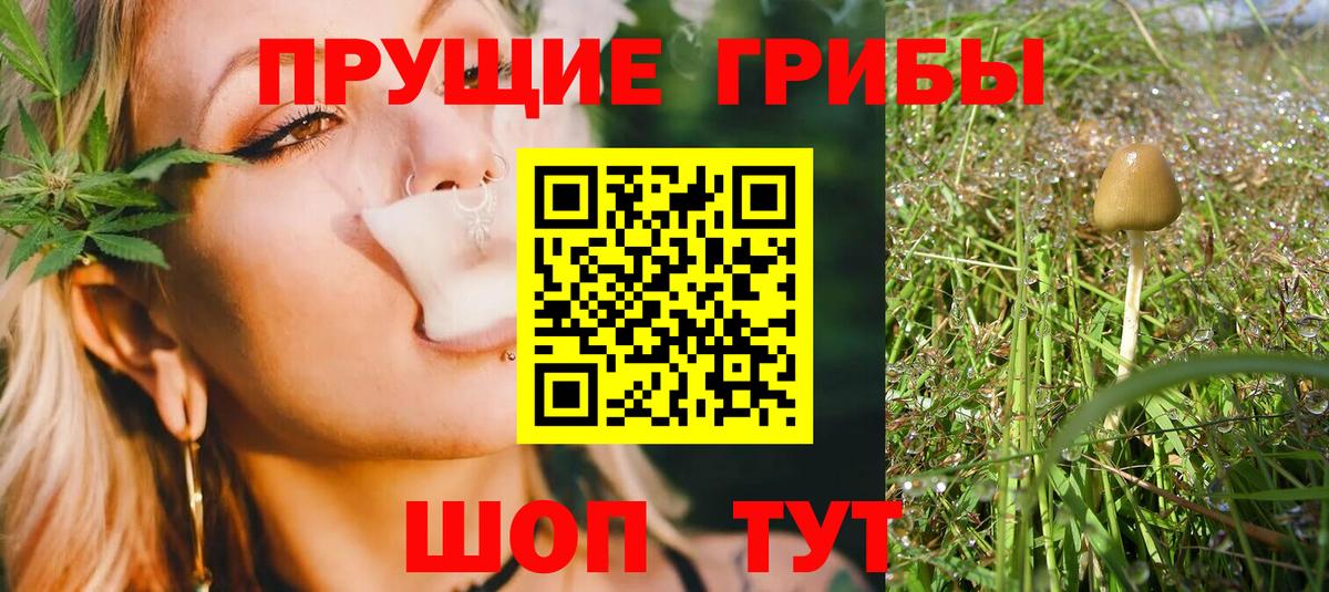 Галлюциногенные грибы ЛСД  Вход с VPN  Славянск-на-Кубани  Псилоцибиновые грибы Magic Shrooms 